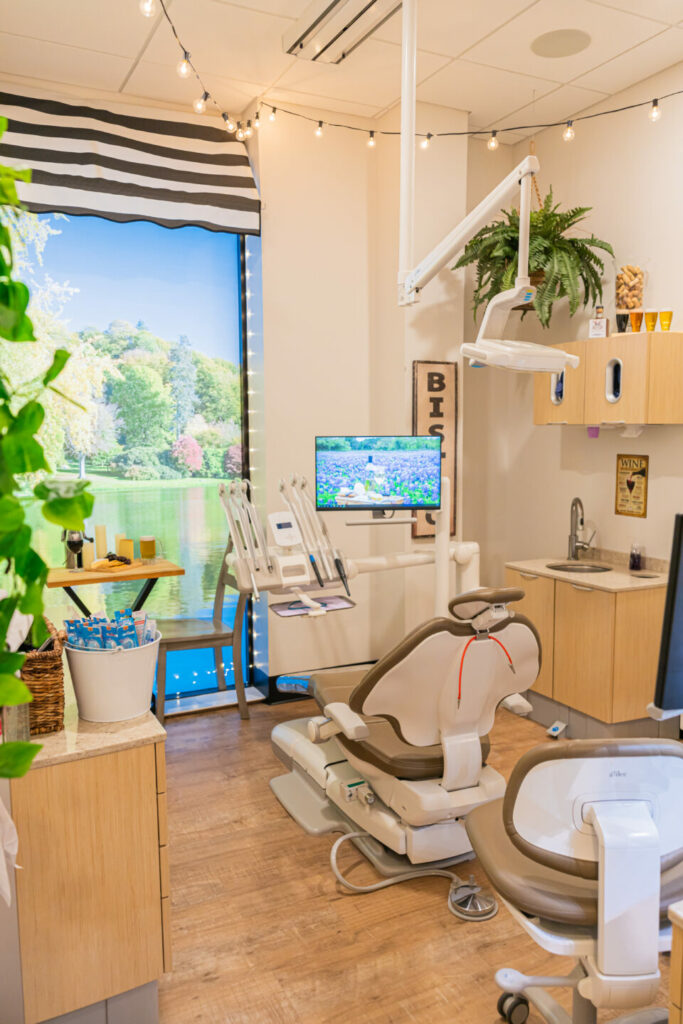 A picture of a dental exam room includes plants and scenic images