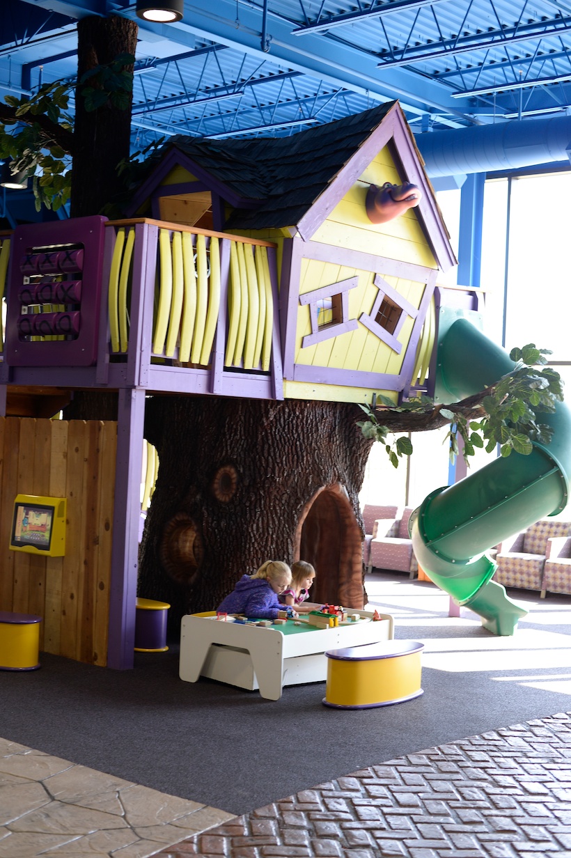  Indoor treehouse playground inside of Newtown Dentistry’s lobby. 