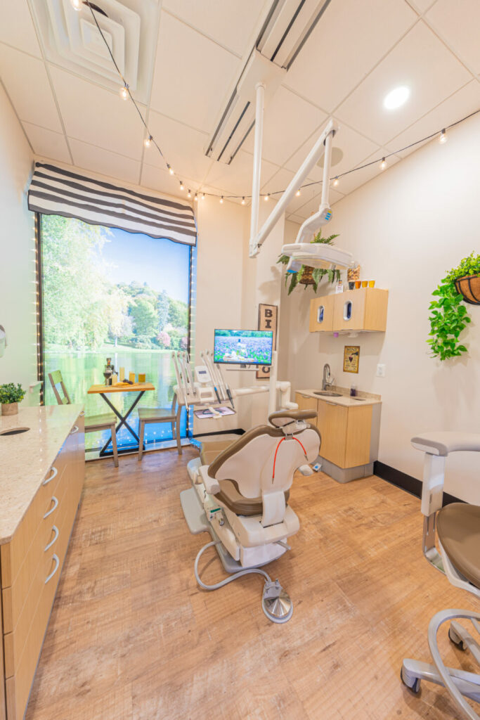 Adult dental office room with a lakefront picnic theme, a big-screen TV, and state-of-the-art dental tools.